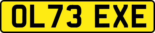 OL73EXE