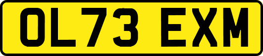 OL73EXM