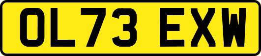 OL73EXW