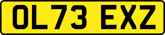 OL73EXZ