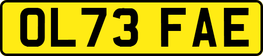 OL73FAE