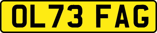 OL73FAG