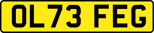 OL73FEG
