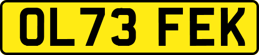 OL73FEK