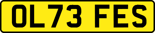 OL73FES