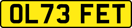 OL73FET