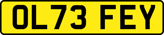 OL73FEY