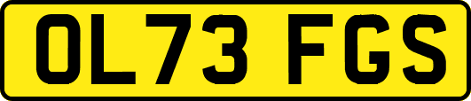 OL73FGS