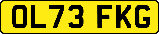 OL73FKG