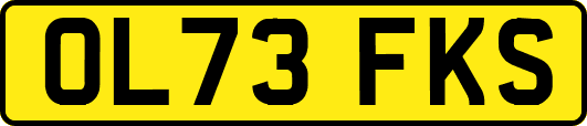 OL73FKS