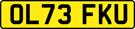 OL73FKU