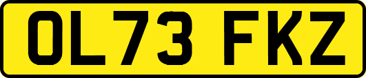 OL73FKZ