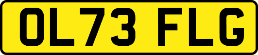 OL73FLG