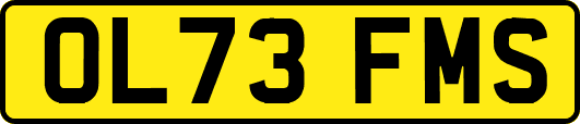 OL73FMS