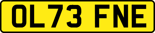OL73FNE