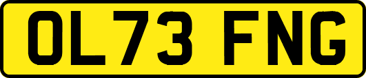 OL73FNG