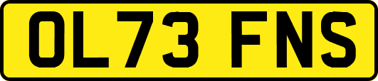 OL73FNS