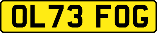 OL73FOG