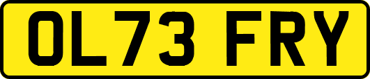 OL73FRY