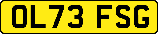 OL73FSG