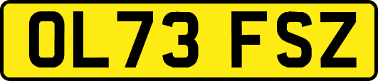 OL73FSZ