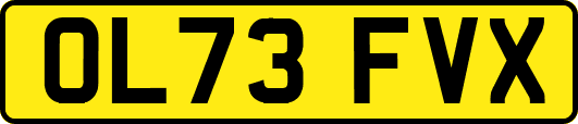 OL73FVX