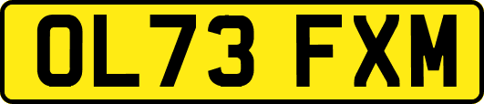OL73FXM