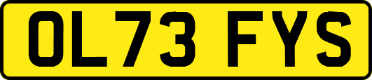 OL73FYS