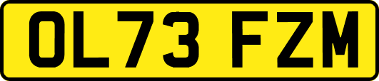 OL73FZM