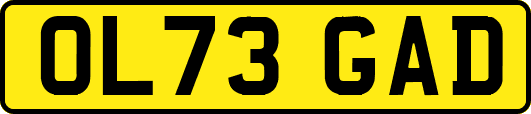 OL73GAD