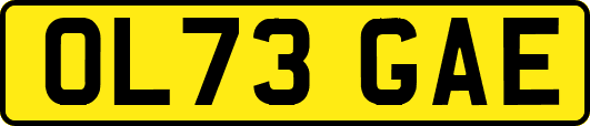 OL73GAE