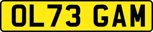 OL73GAM