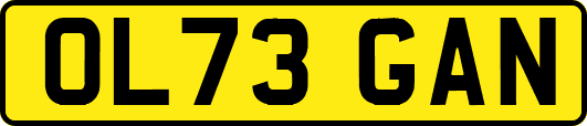 OL73GAN
