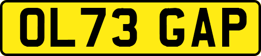 OL73GAP