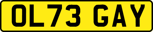OL73GAY