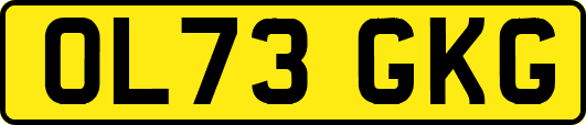 OL73GKG