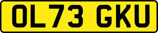 OL73GKU