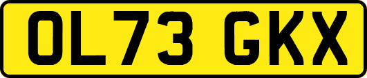 OL73GKX