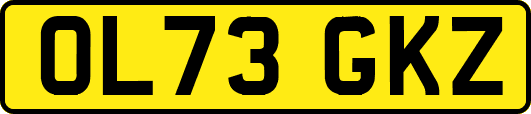 OL73GKZ