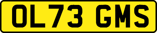 OL73GMS