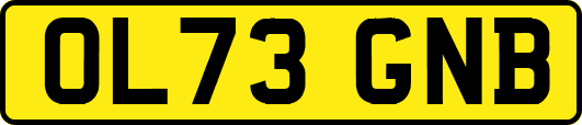 OL73GNB