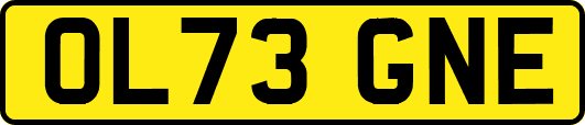 OL73GNE