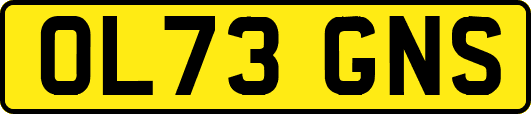 OL73GNS