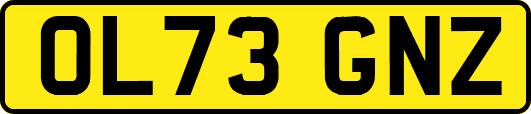 OL73GNZ