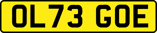 OL73GOE