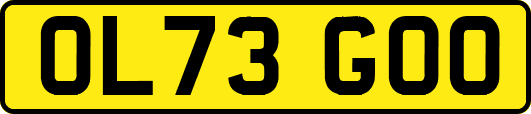 OL73GOO