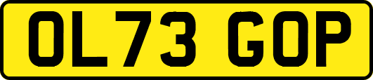 OL73GOP