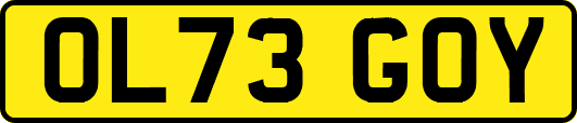 OL73GOY