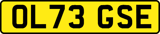 OL73GSE