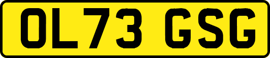 OL73GSG